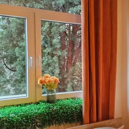 Homely * モスタル